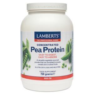 PEA PROTEIN 750 GR (GUISANTE)